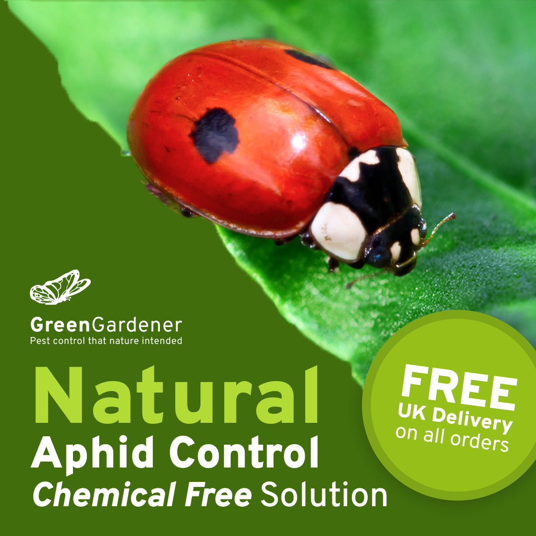 Green Gardener Facebook ad: Natural Aphid Solution