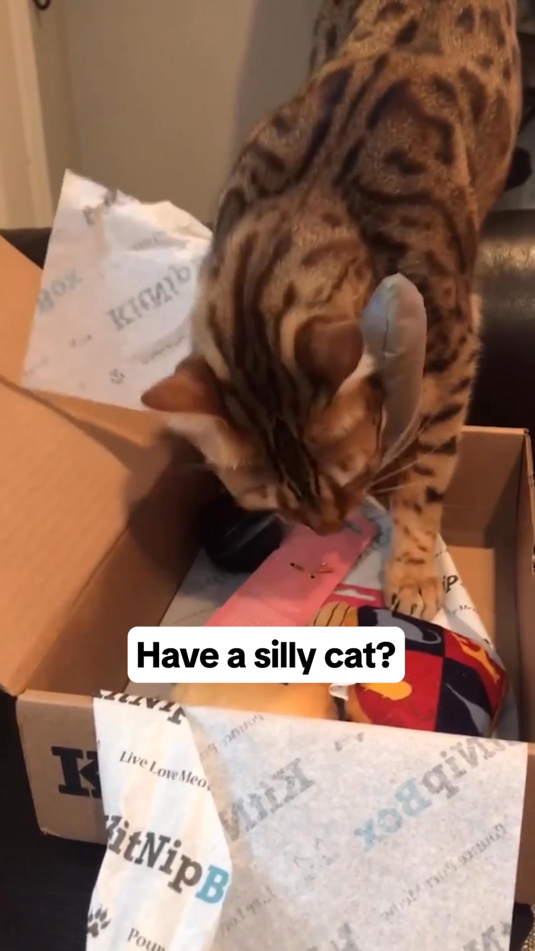 KitNipBox Facebook ad: New Year, New Box Obsession!