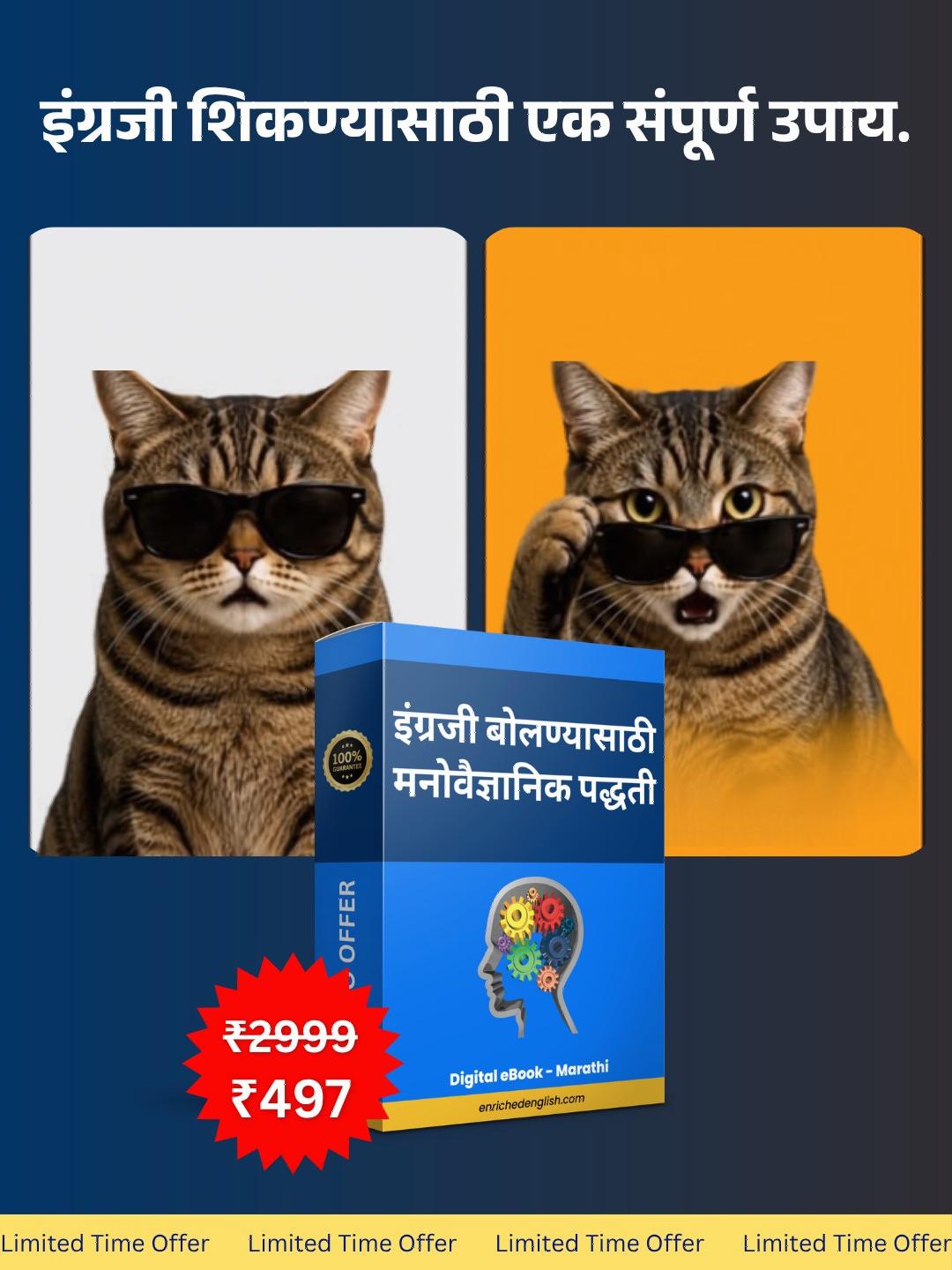 VerbaFlow Learning Academy Facebook ad from Aug 12, 2026