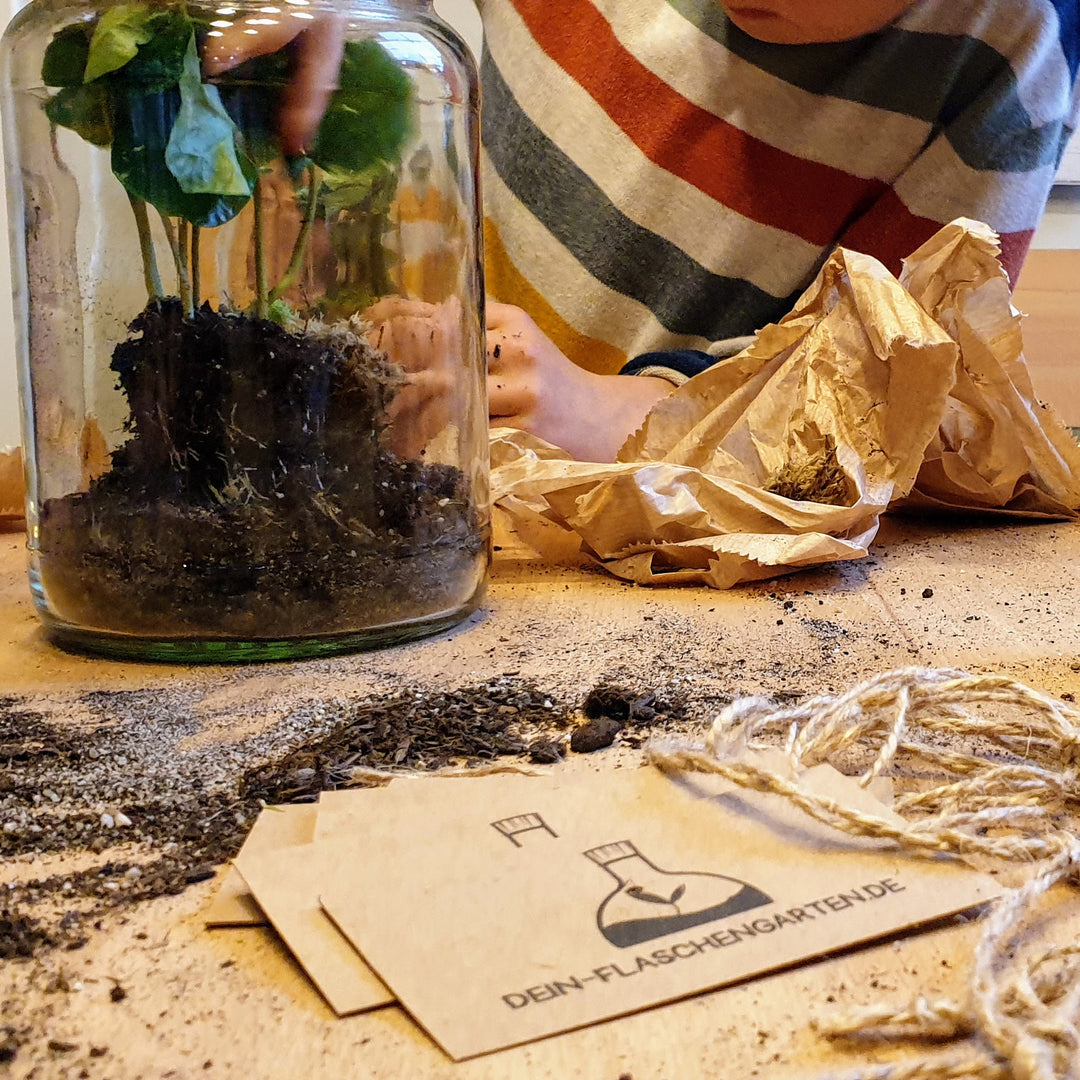 Dein-Flaschengarten.de Facebook ad: Aktivität zum Kindergeburtstag