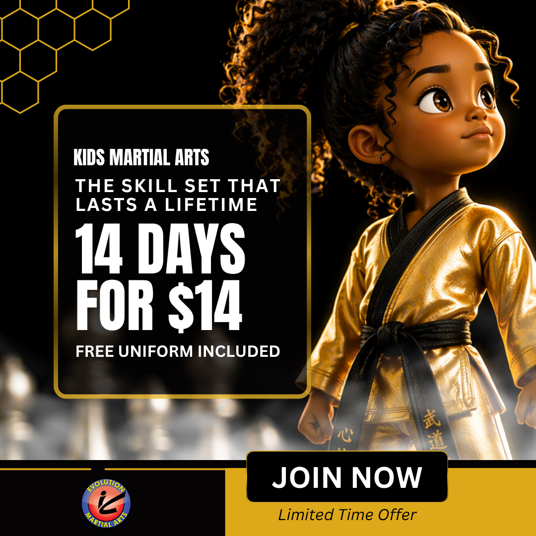 Evolution Martial Arts - Lincoln Facebook ad