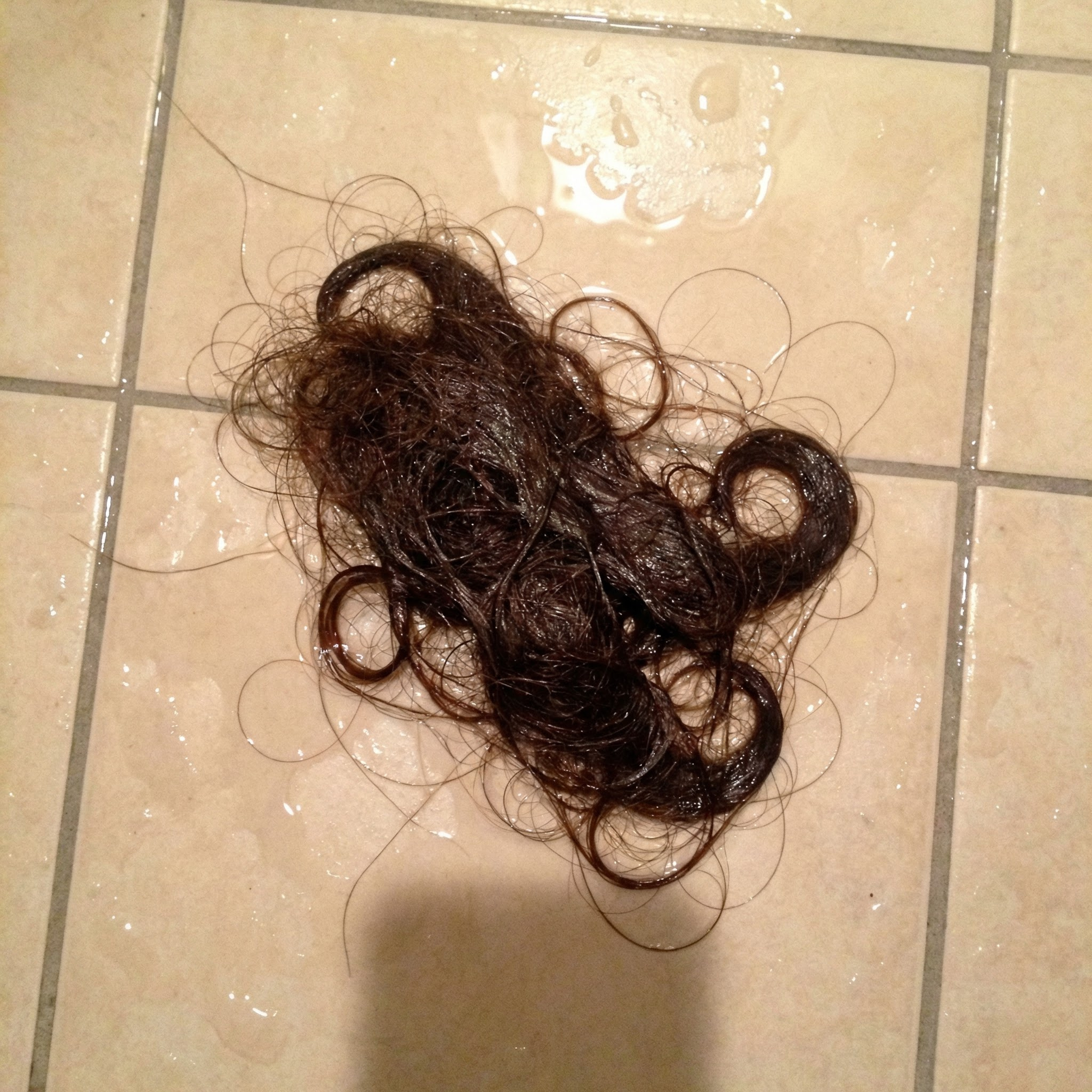 Dr. Daniel Hart Facebook ad: The Top 5 Brands For Thinning Hair (in 2026)
