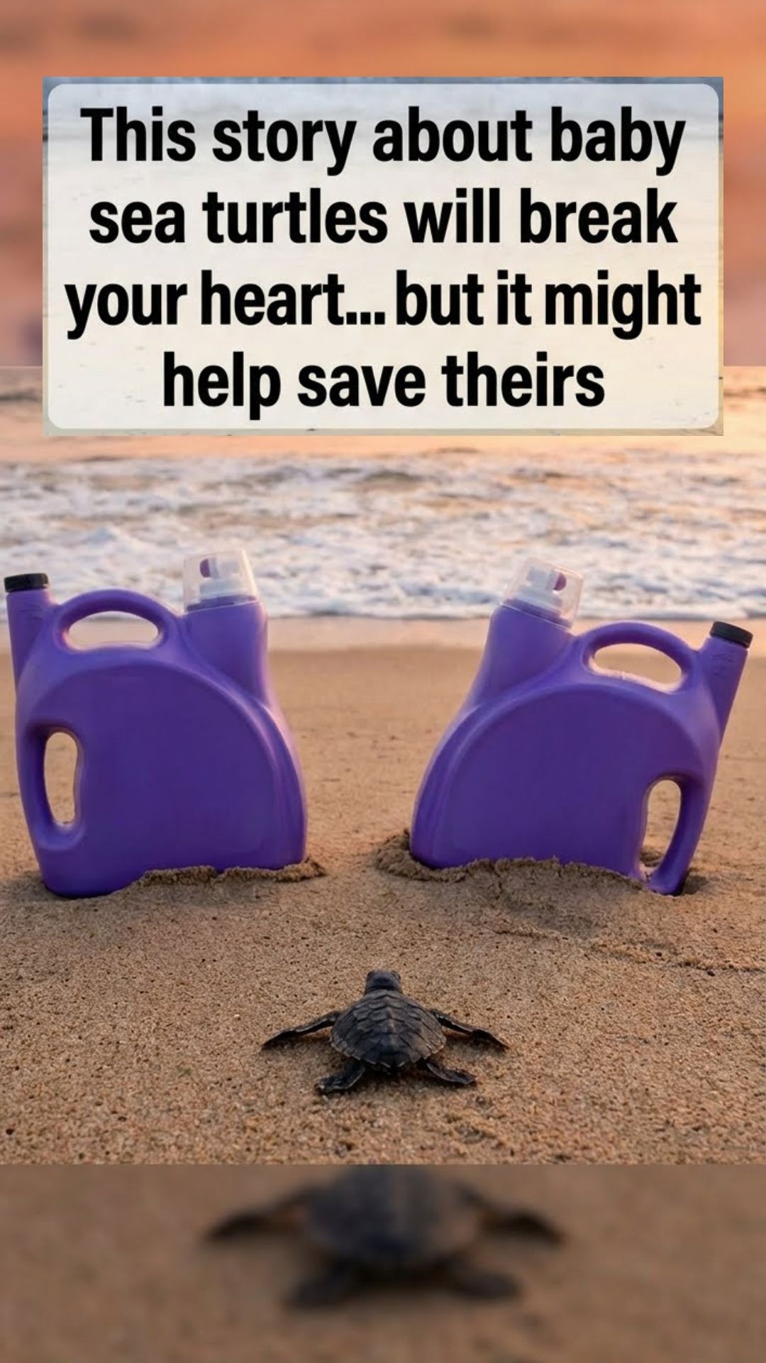 Save Our Planet Facebook ad