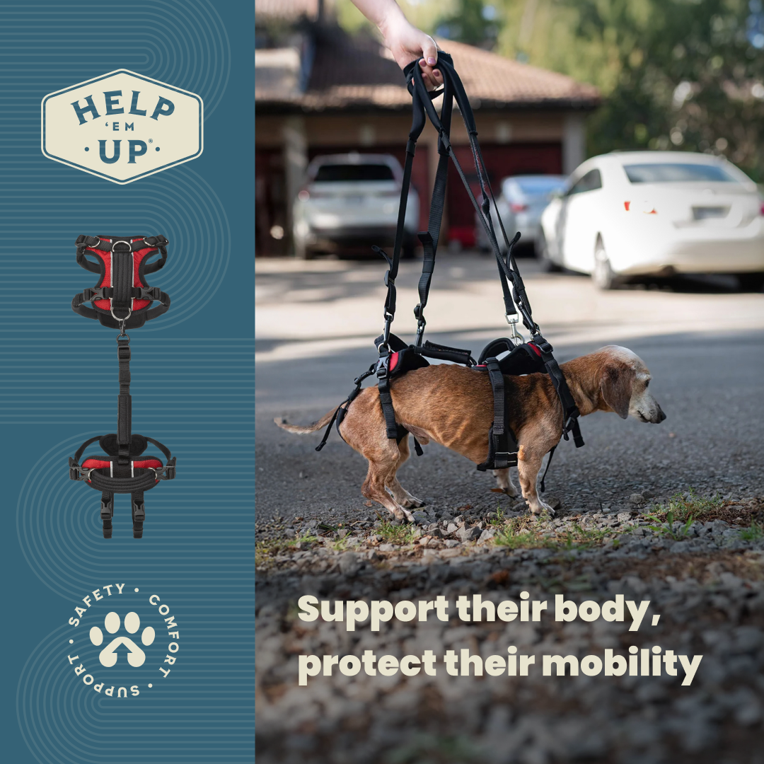 Help Em Up Harness Facebook ad
