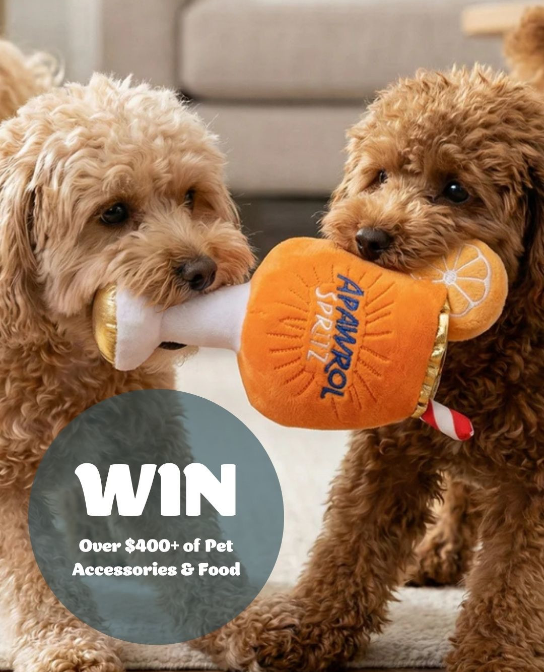 Frontier Pets Pet Food Facebook ad