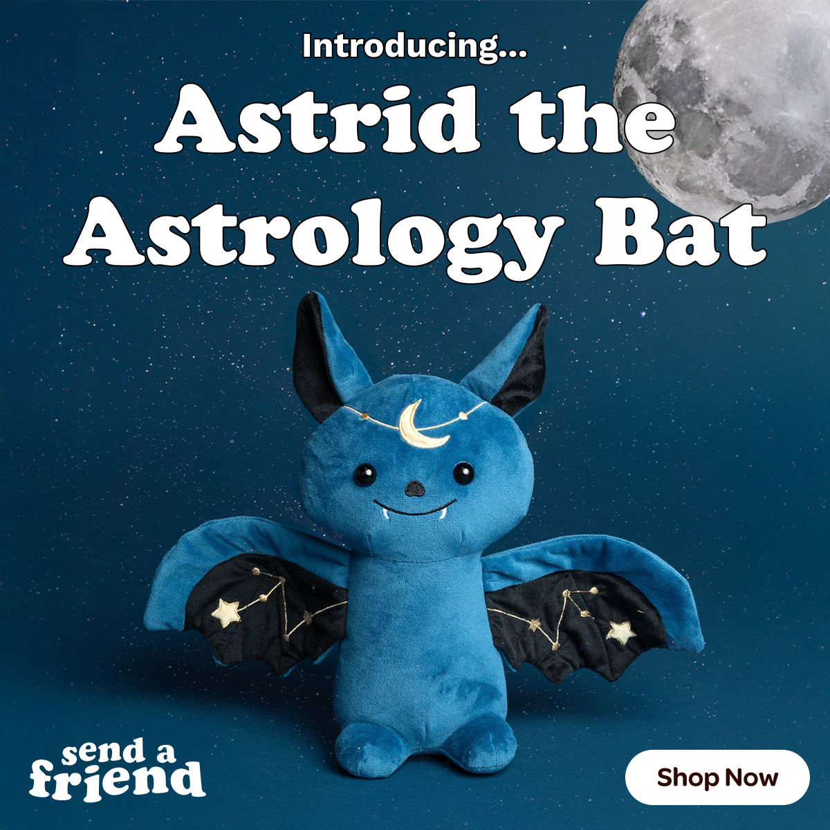 SendAFriend Facebook ad