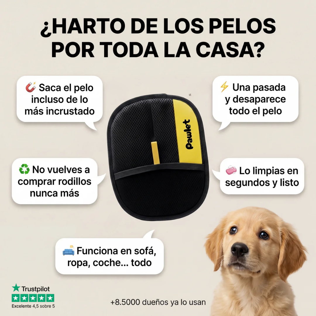 Pawlet Facebook ad