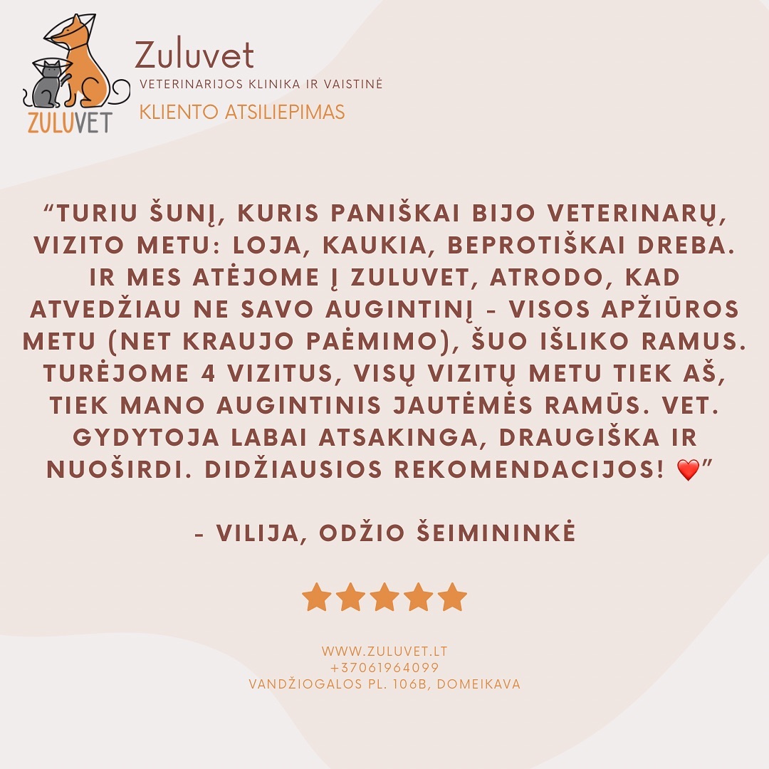 ZuluVet Veterinarijos gydykla Facebook ad: Pasirūpinkite savo augintiniu