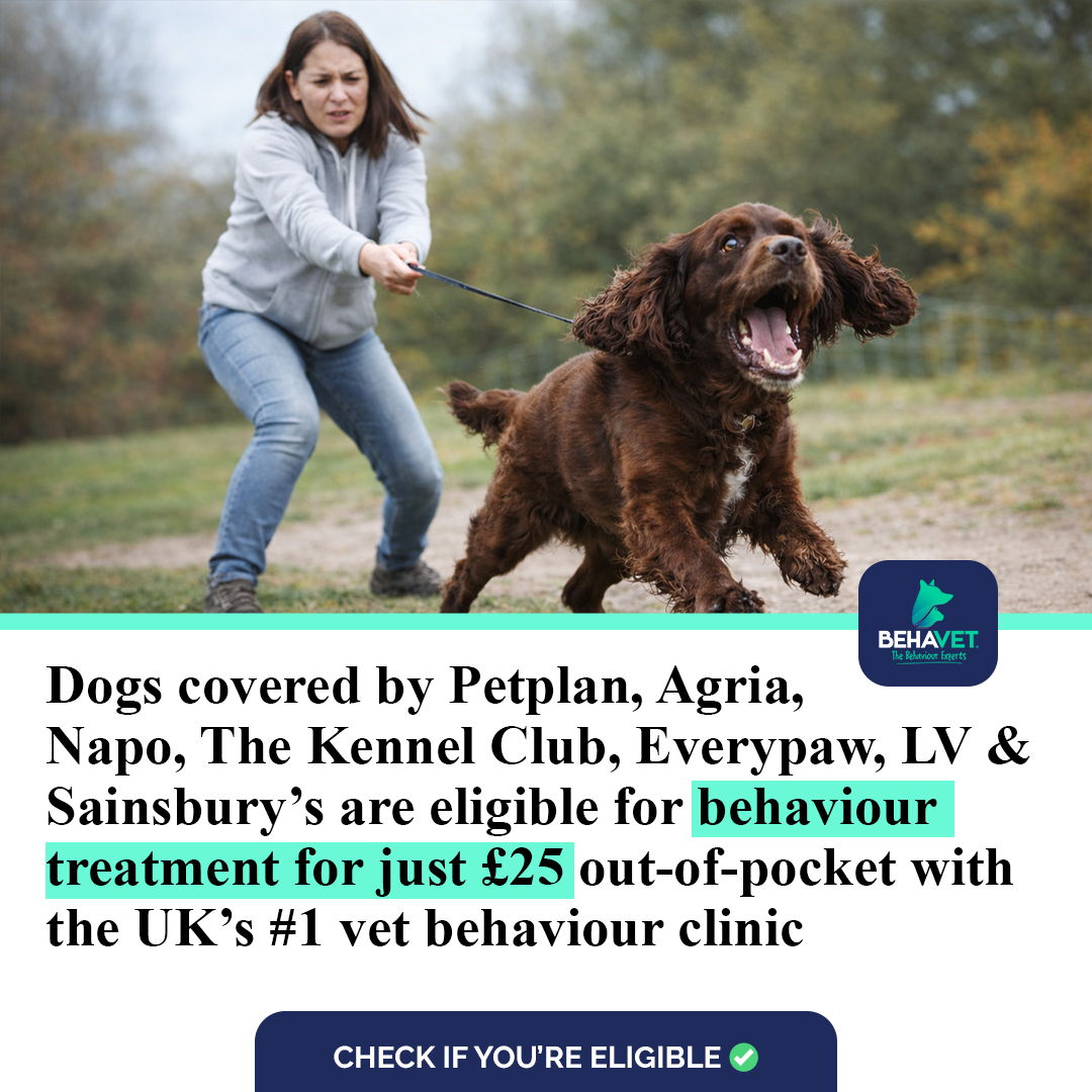 Behavet: The Pet Behaviour Experts Facebook ad