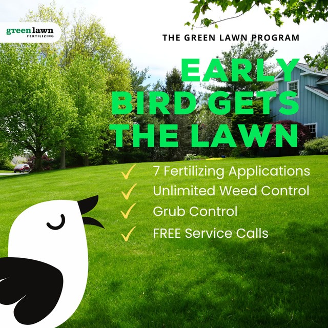 Green Lawn Fertilizing Facebook ad