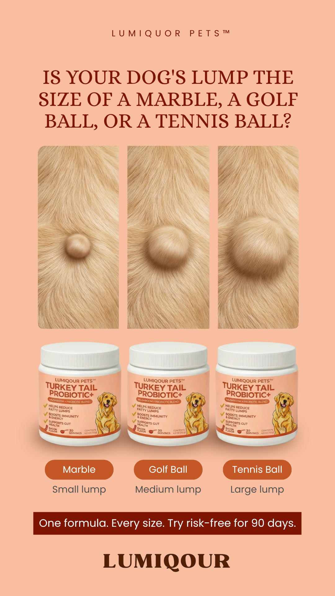 Dog Wellness Tips Facebook ad