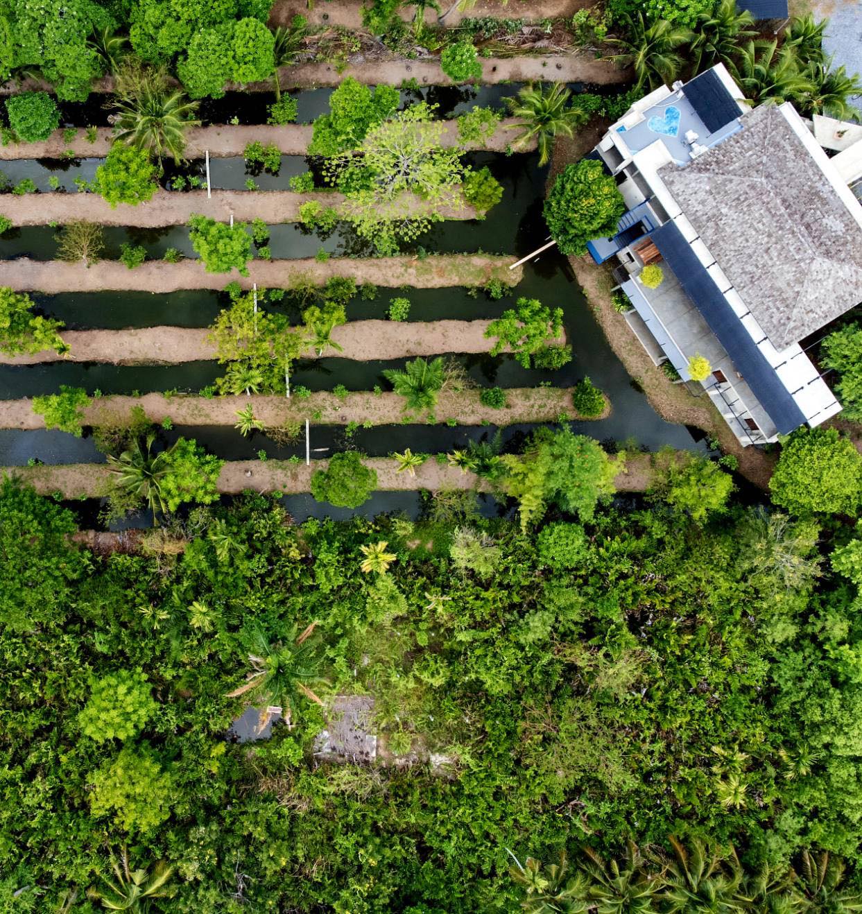 Coconut Lane Bangkok Facebook ad: Escape the city crowds at Coconut Lane Bangkok…