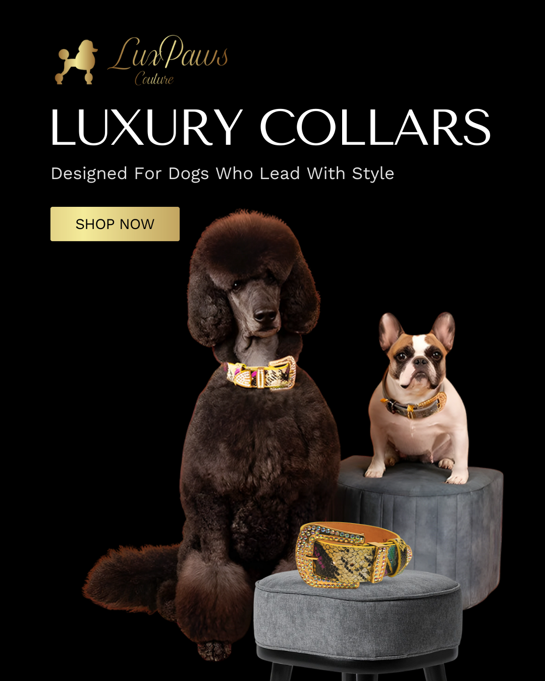 Lux Paws Couture Facebook ad: Designed for Dogs Who Lead With Style