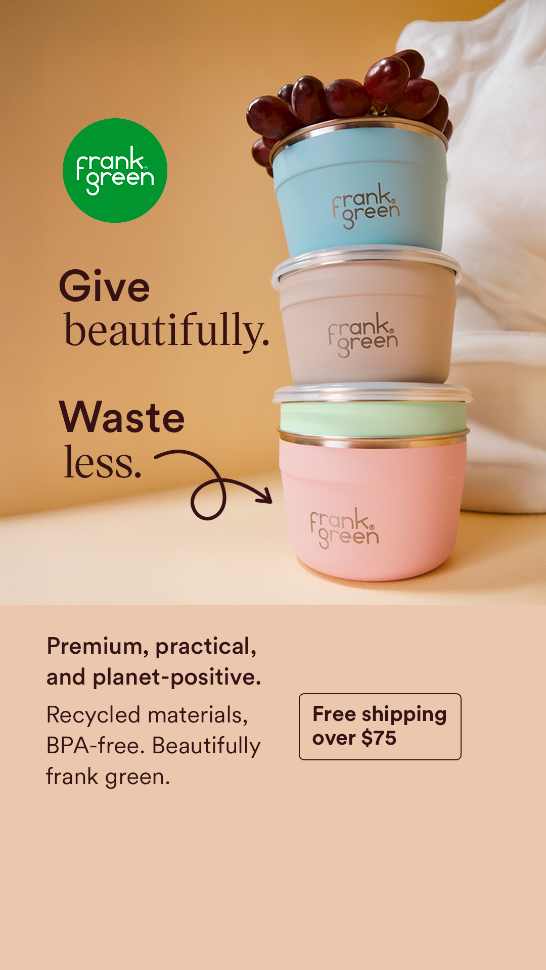 frank green Facebook ad