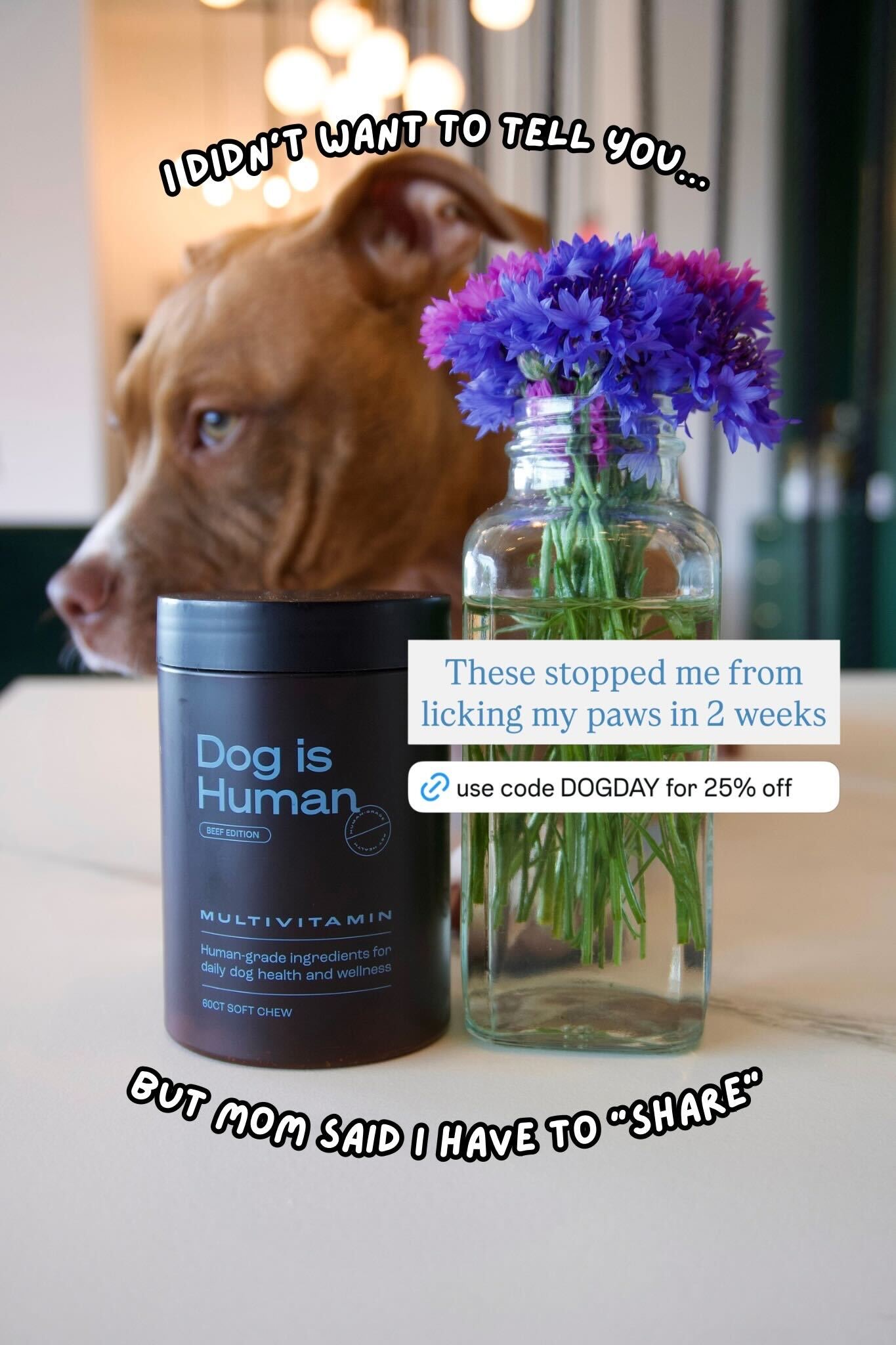 Dog is Human Facebook ad