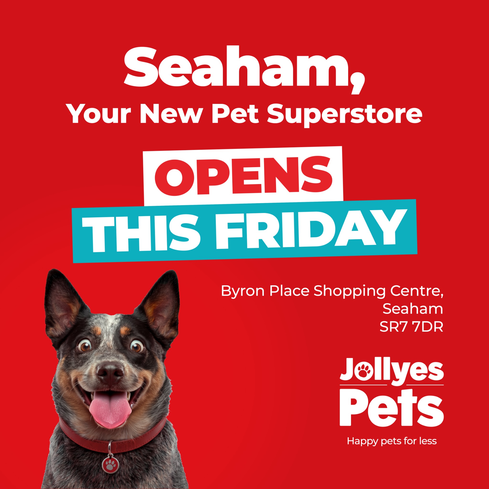 Jollyes Seaham - The Pet People Facebook ad: Calling all Seaham pet parents Your brand NEW…