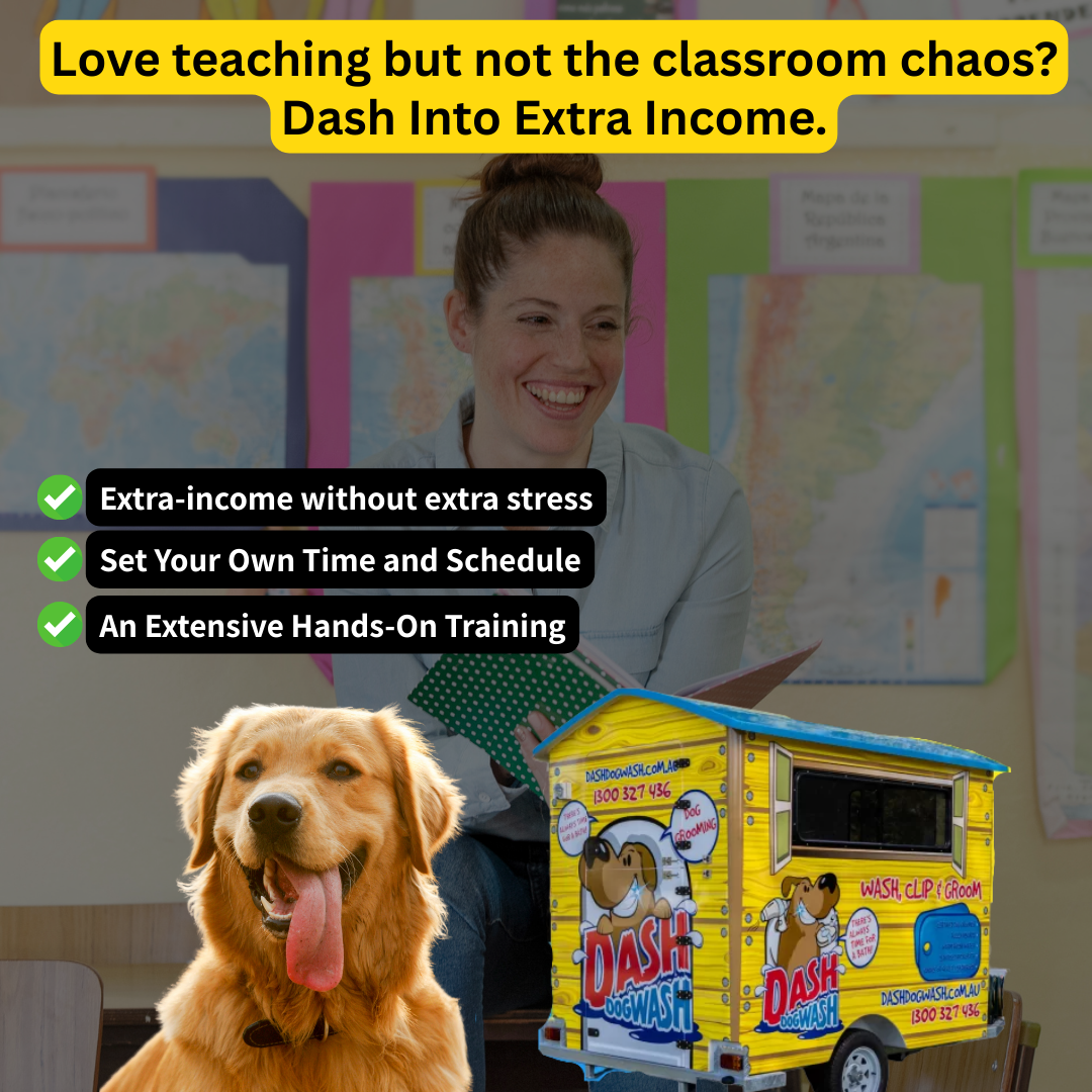 Dash DogWash Facebook ad