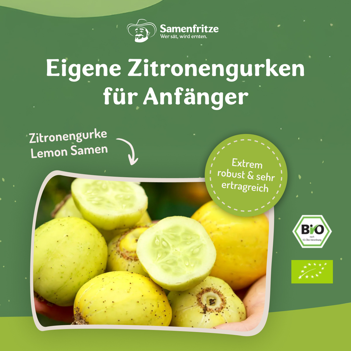 Samenfritze Facebook ad