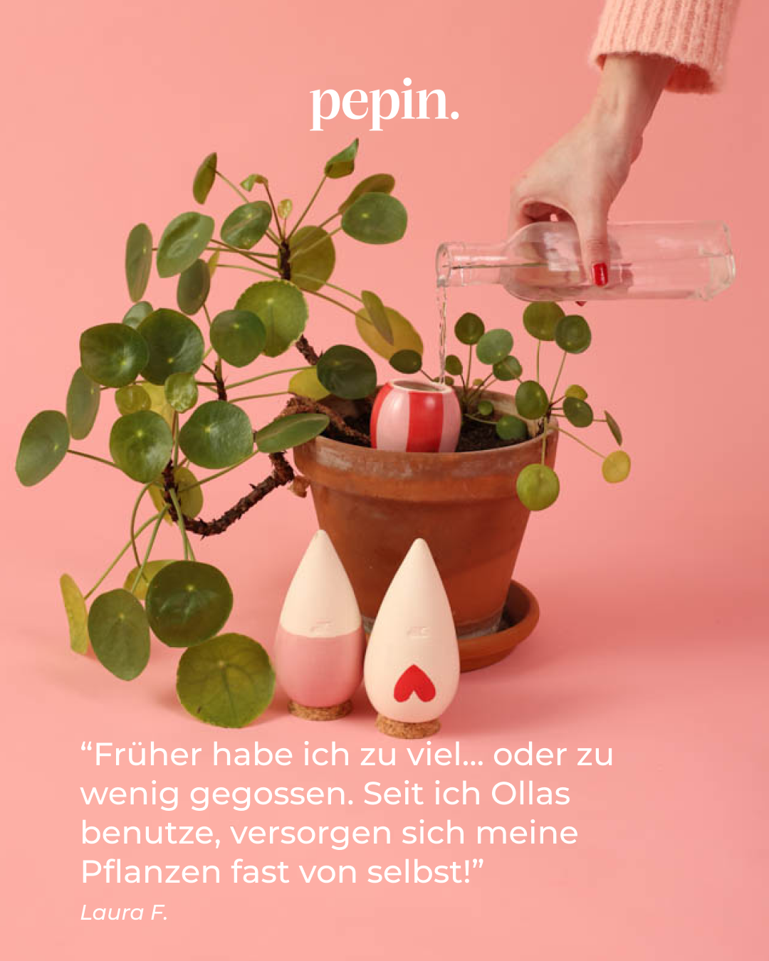 Pepin Facebook ad