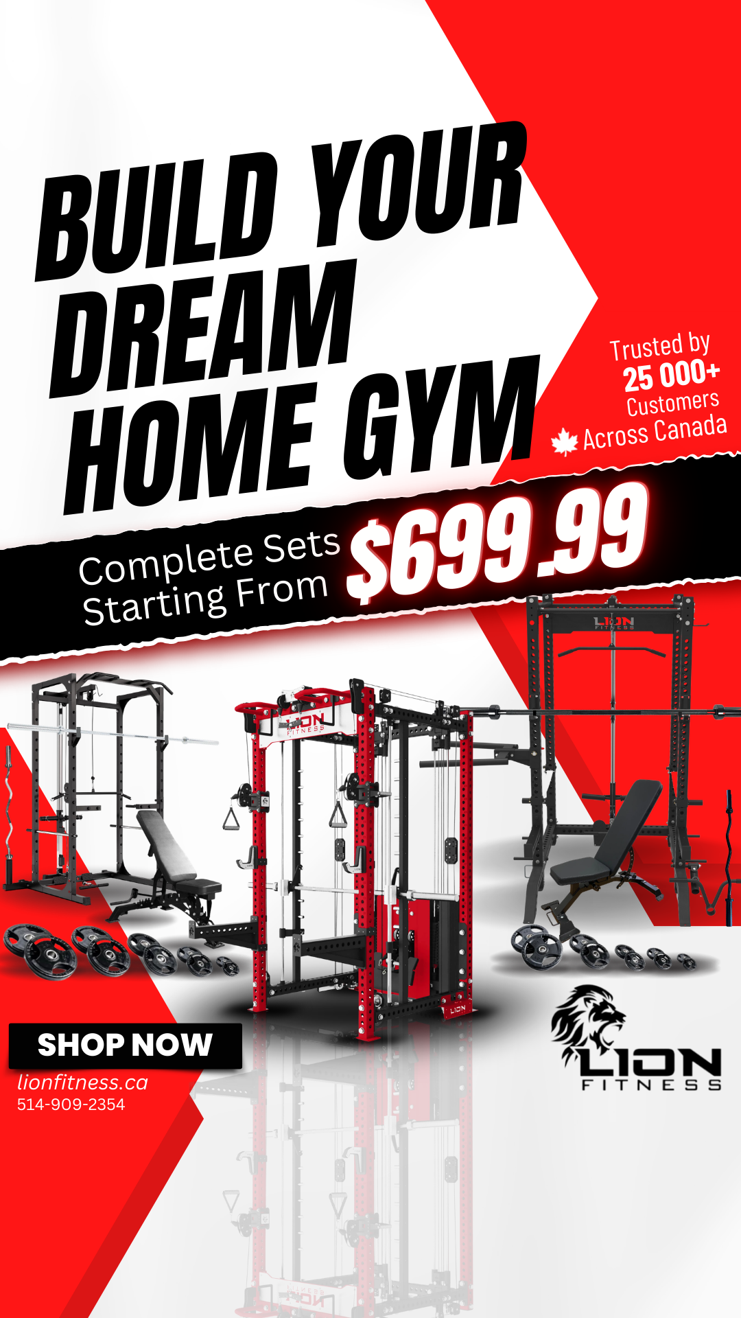 Lion Fitness Facebook ad