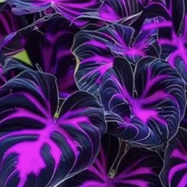 Green Thumb Facebook ad