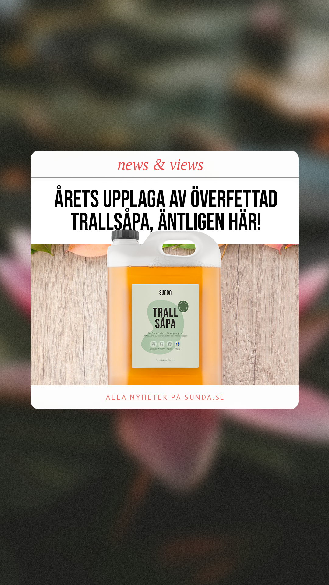 Sunda Facebook ad