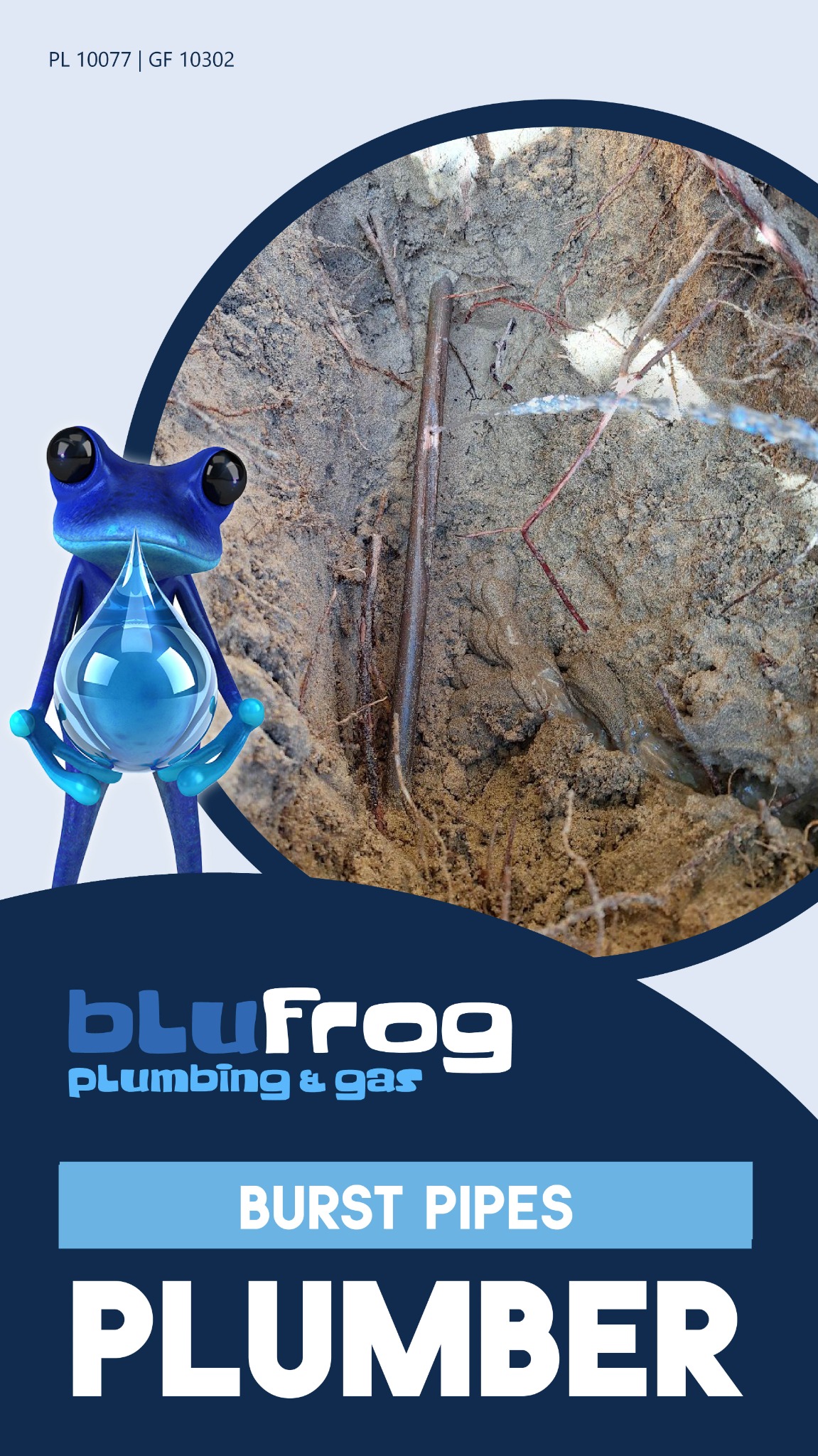 BluFrog Facebook ad