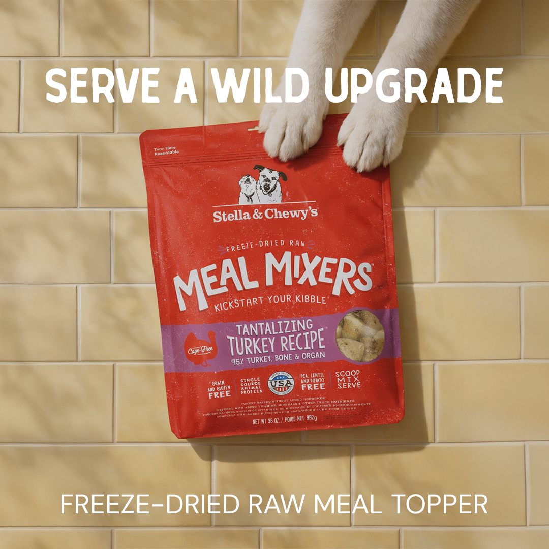 Stella & Chewy's Facebook ad