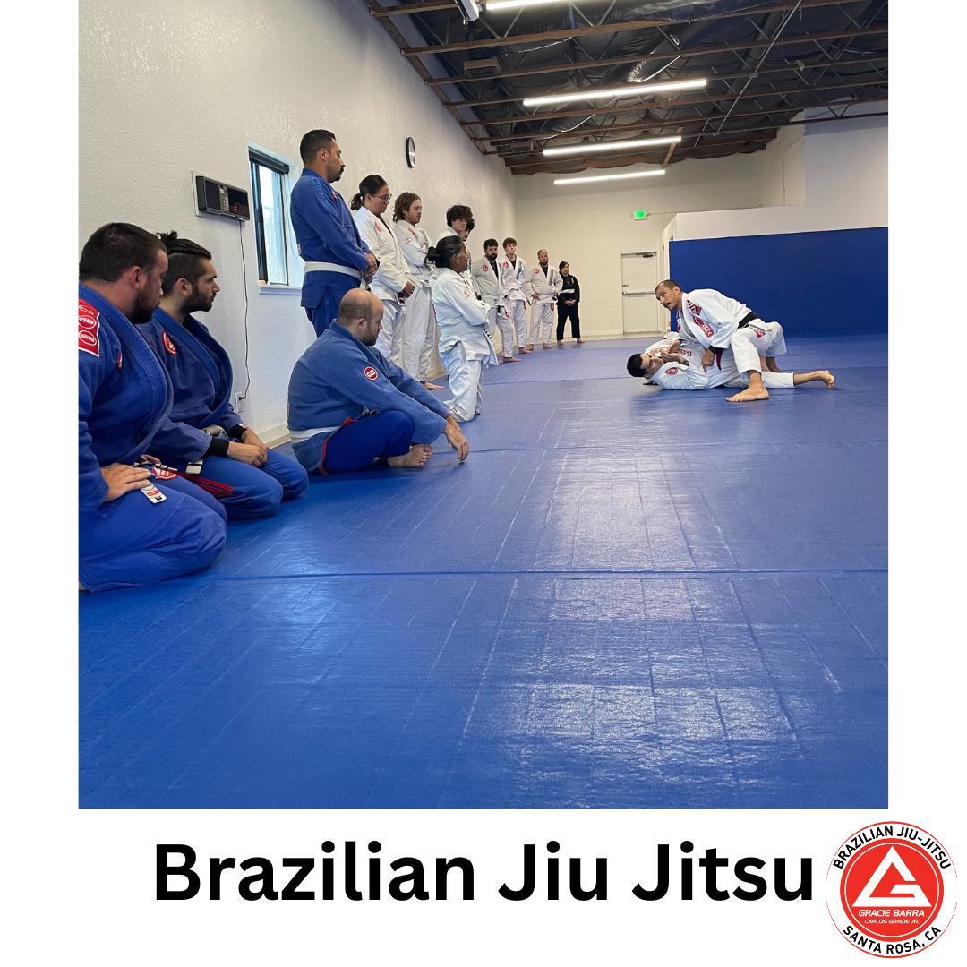 Gracie Barra Santa Rosa Facebook ad: GRACIE BARRA SANTA ROSA Brazilian Jiu Jitsu and…