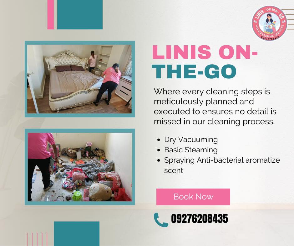 LINIS on-the-go Facebook ad: Pro and Reliable Cleaners
