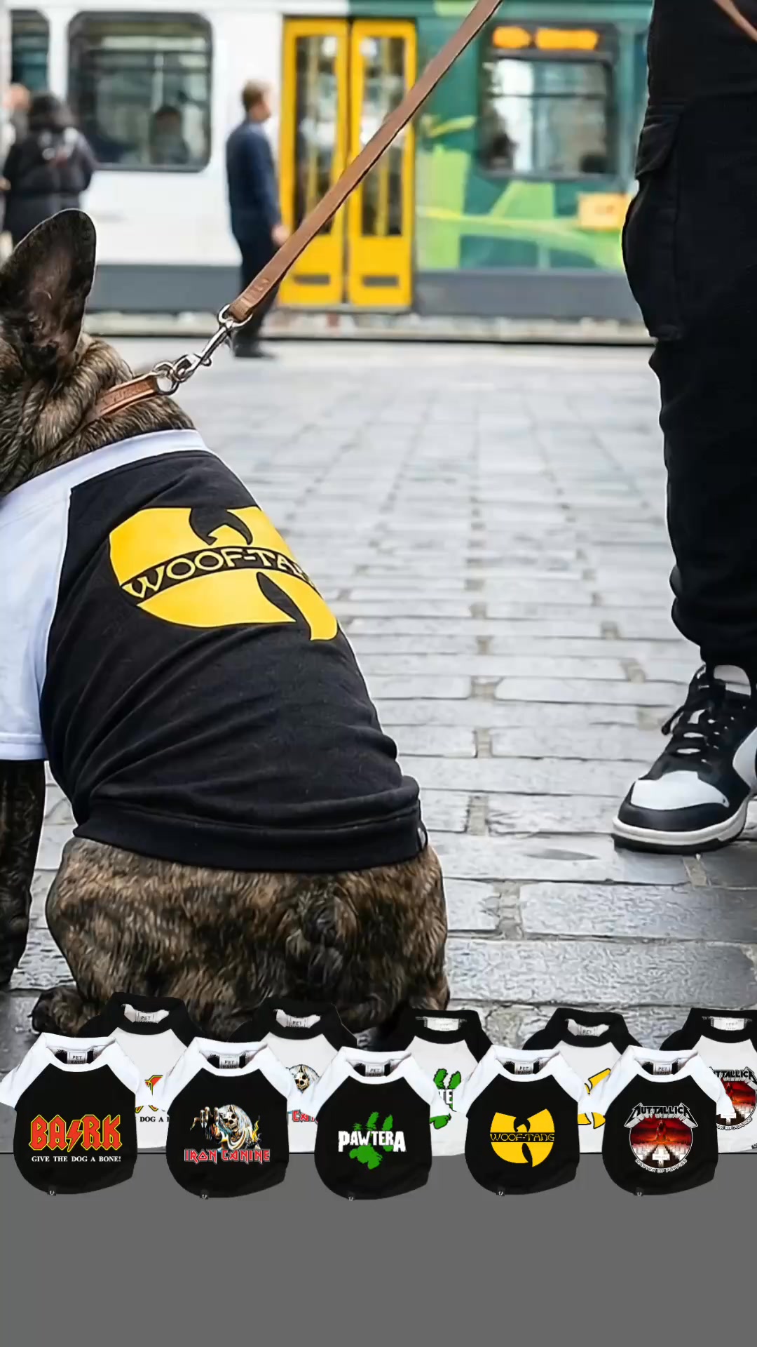 PetHaus Facebook ad: ROCKING DOG GEAR BUILT TO LAST