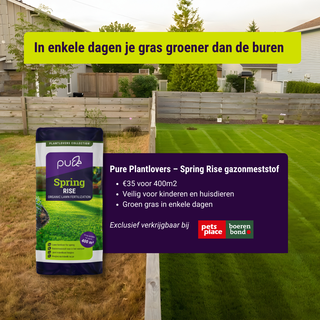 Pureplantlovers Facebook ad from Mar 13, 2026