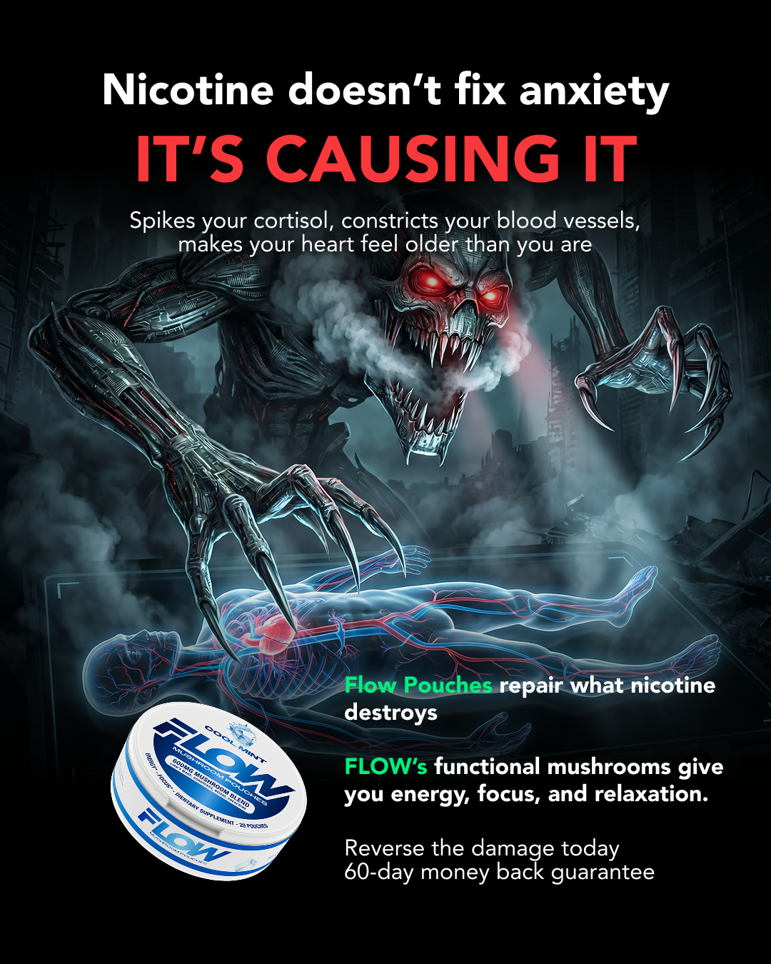 Flow Pouches Facebook ad
