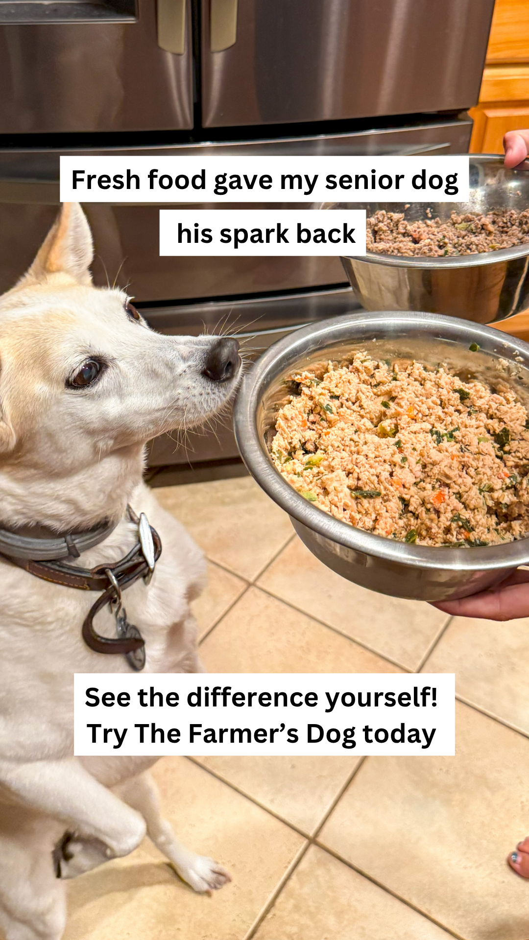 Rounds Of A Paws Facebook ad