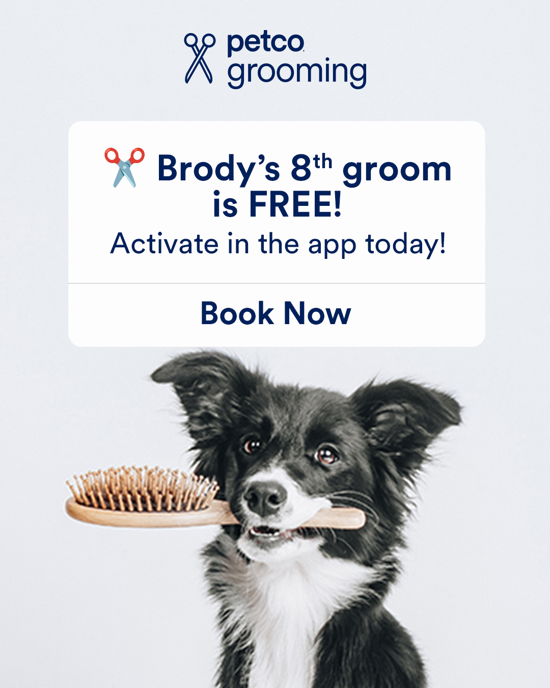 Petco Facebook ad