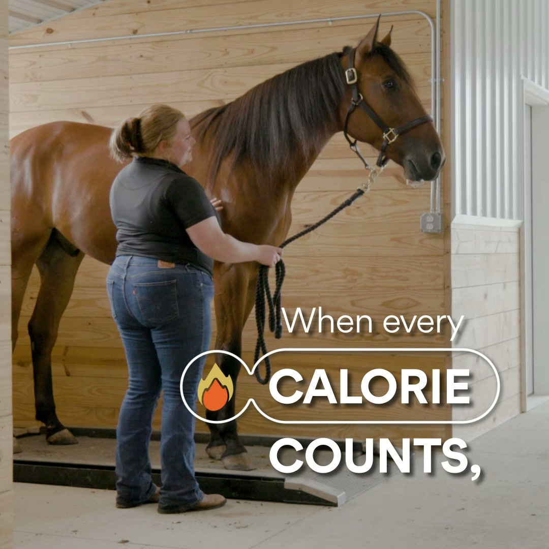 Chewy Facebook ad: Ultra-Low NSC Horse Feed