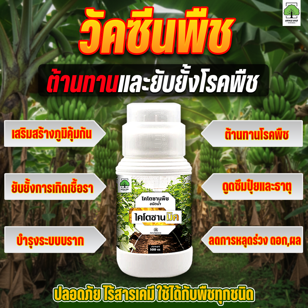 ไคโตซานมิค สูตรพรีเมี่ยม เพิ่มภูมิต้านทาน Facebook ad