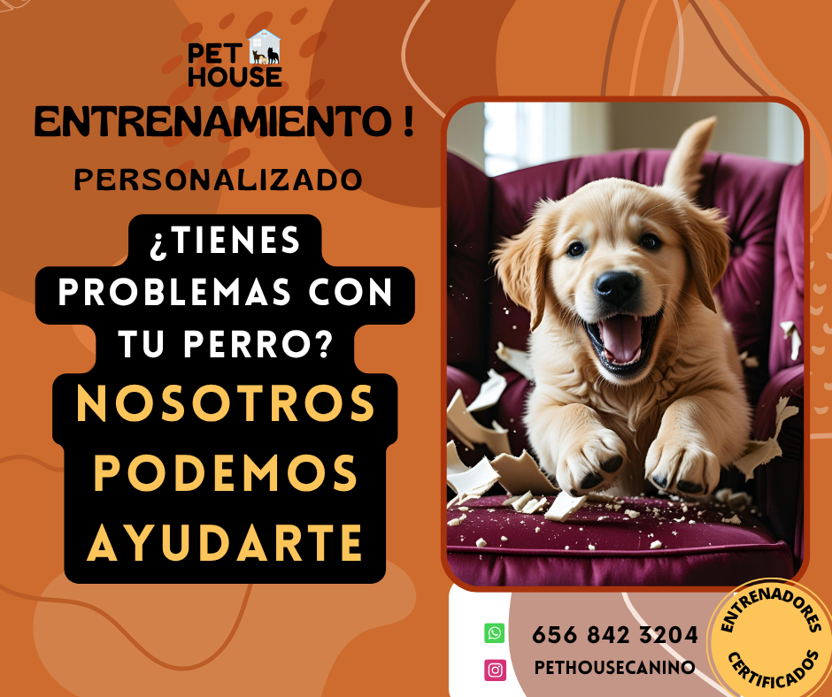 PetHouse Servicios Caninos Facebook ad: Chatea con nosotros