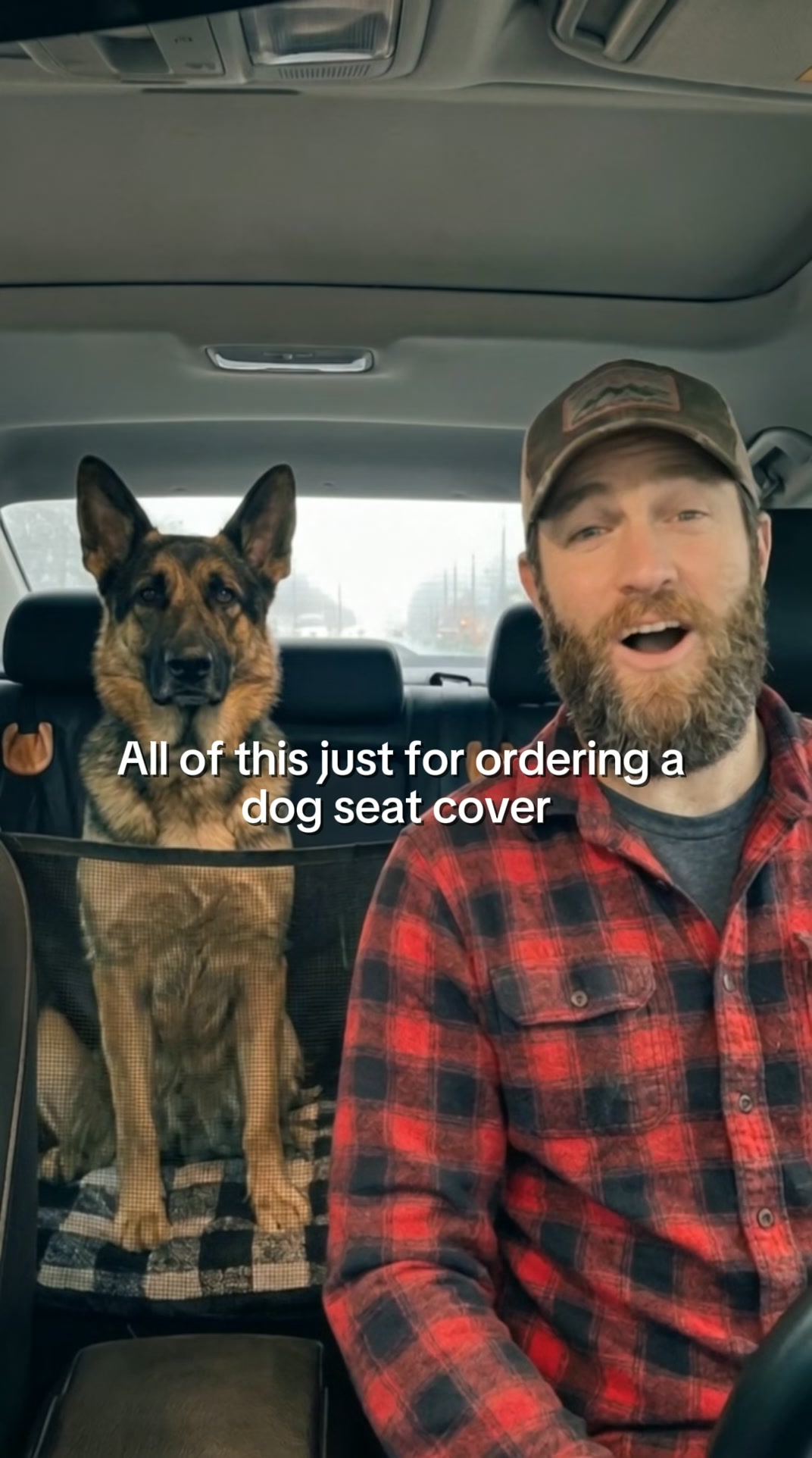 Pawpy Stuff Facebook ad: Hard-Bottom Extended Backseat