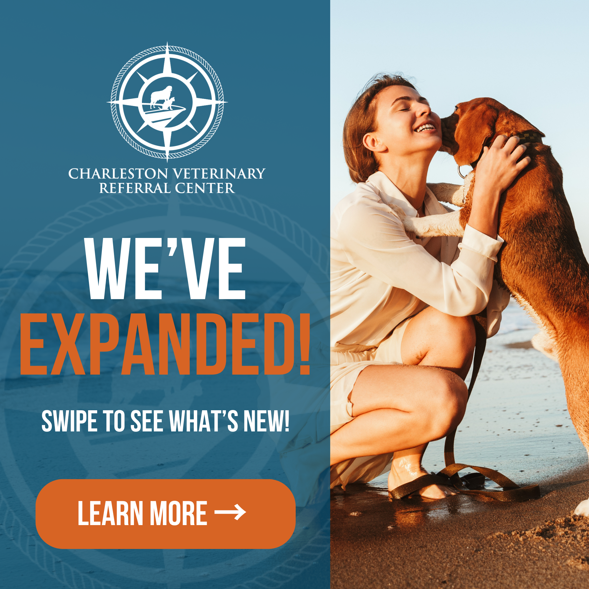 Charleston Veterinary Referral Center Facebook ad