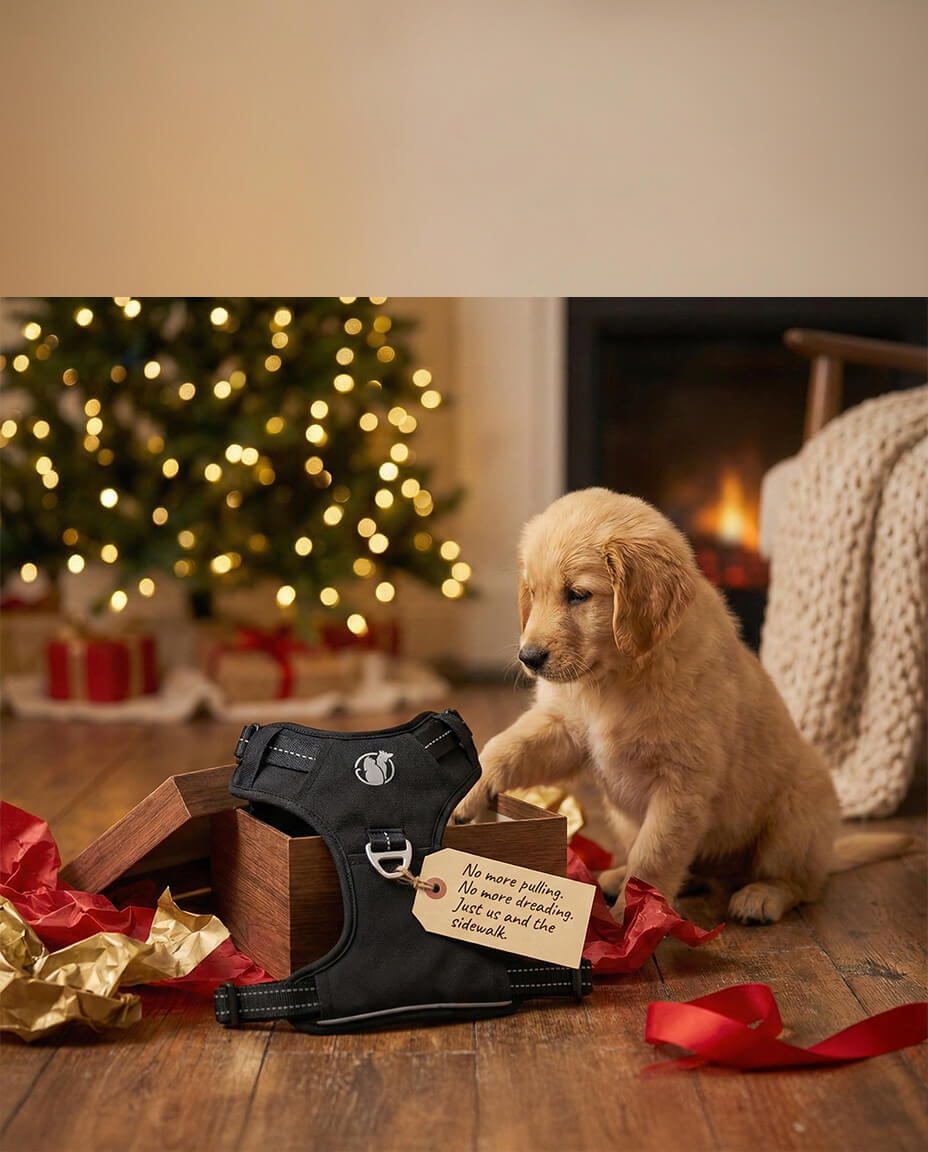 PawSafe Facebook ad
