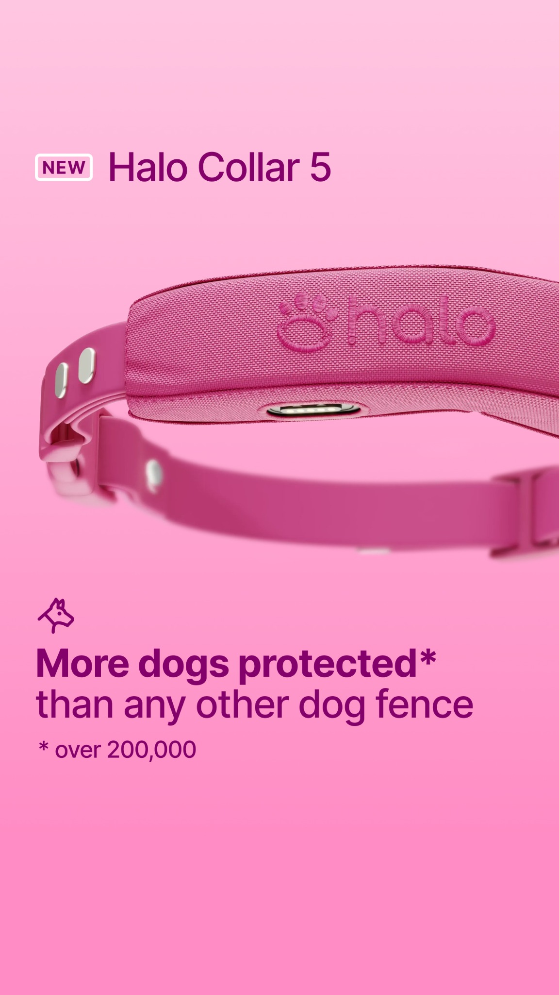 Halo Collar Facebook ad