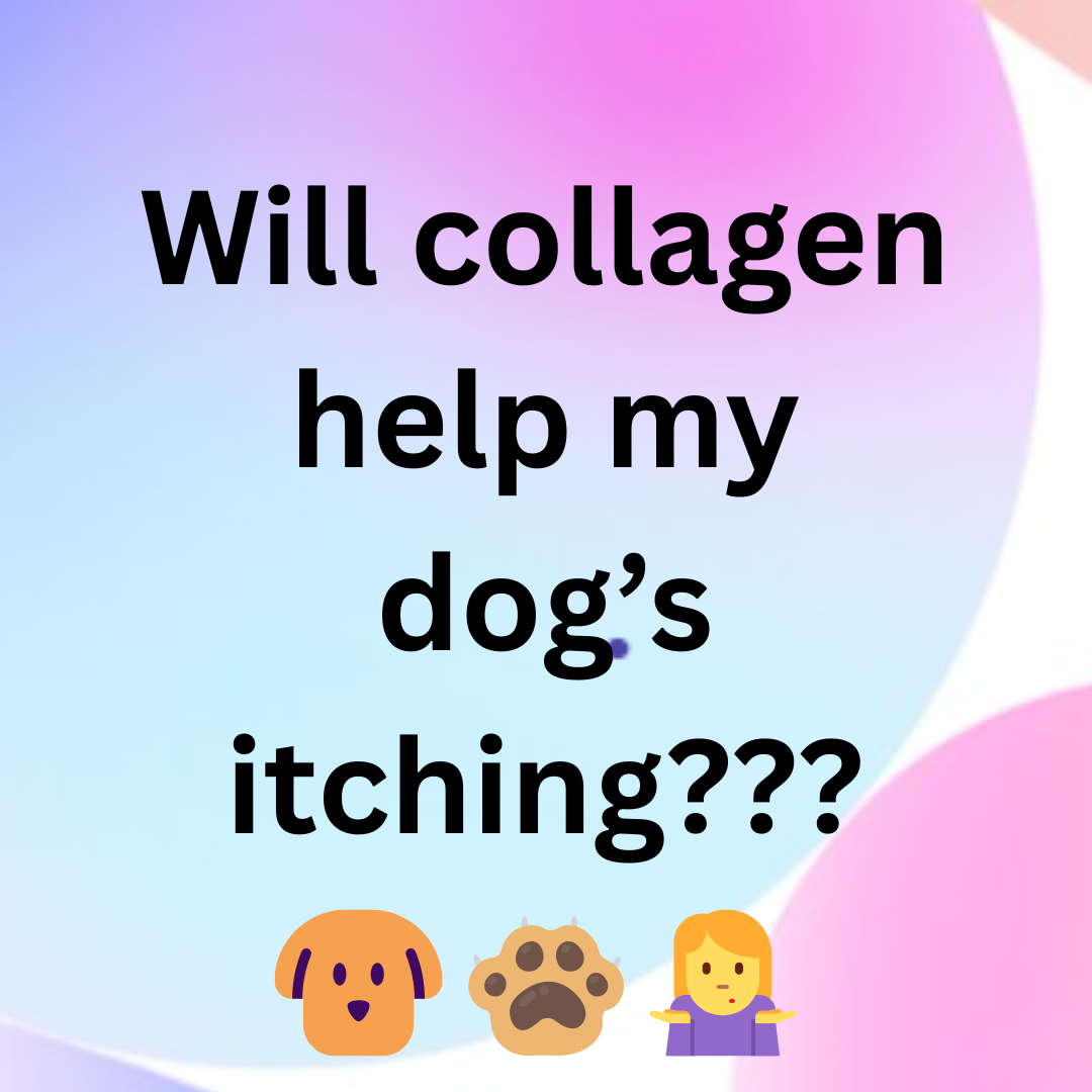 Pawable Facebook ad