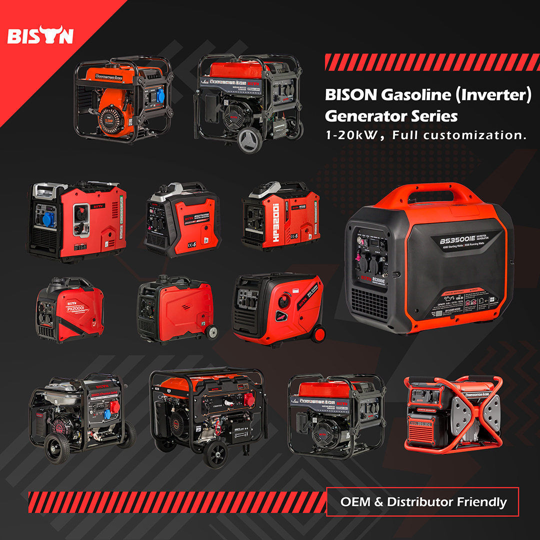 BISON Global Facebook ad