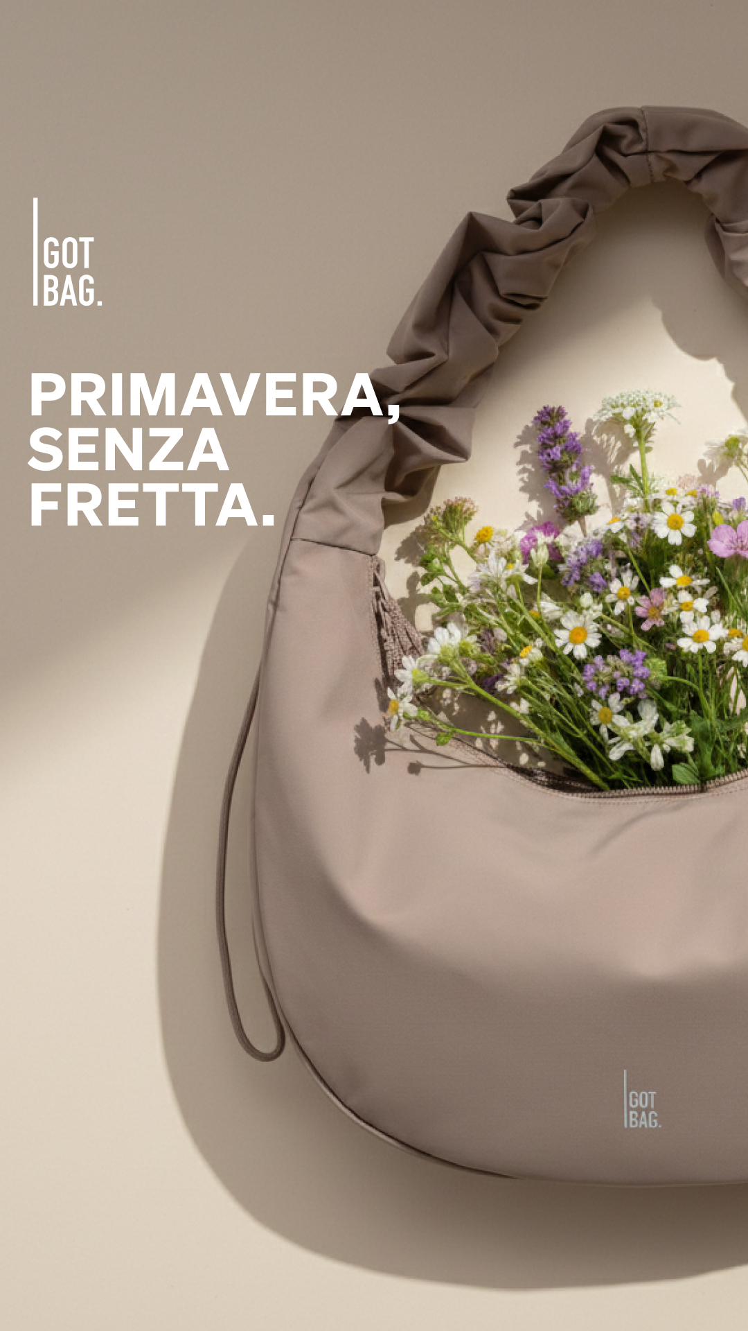 GOT BAG Facebook ad