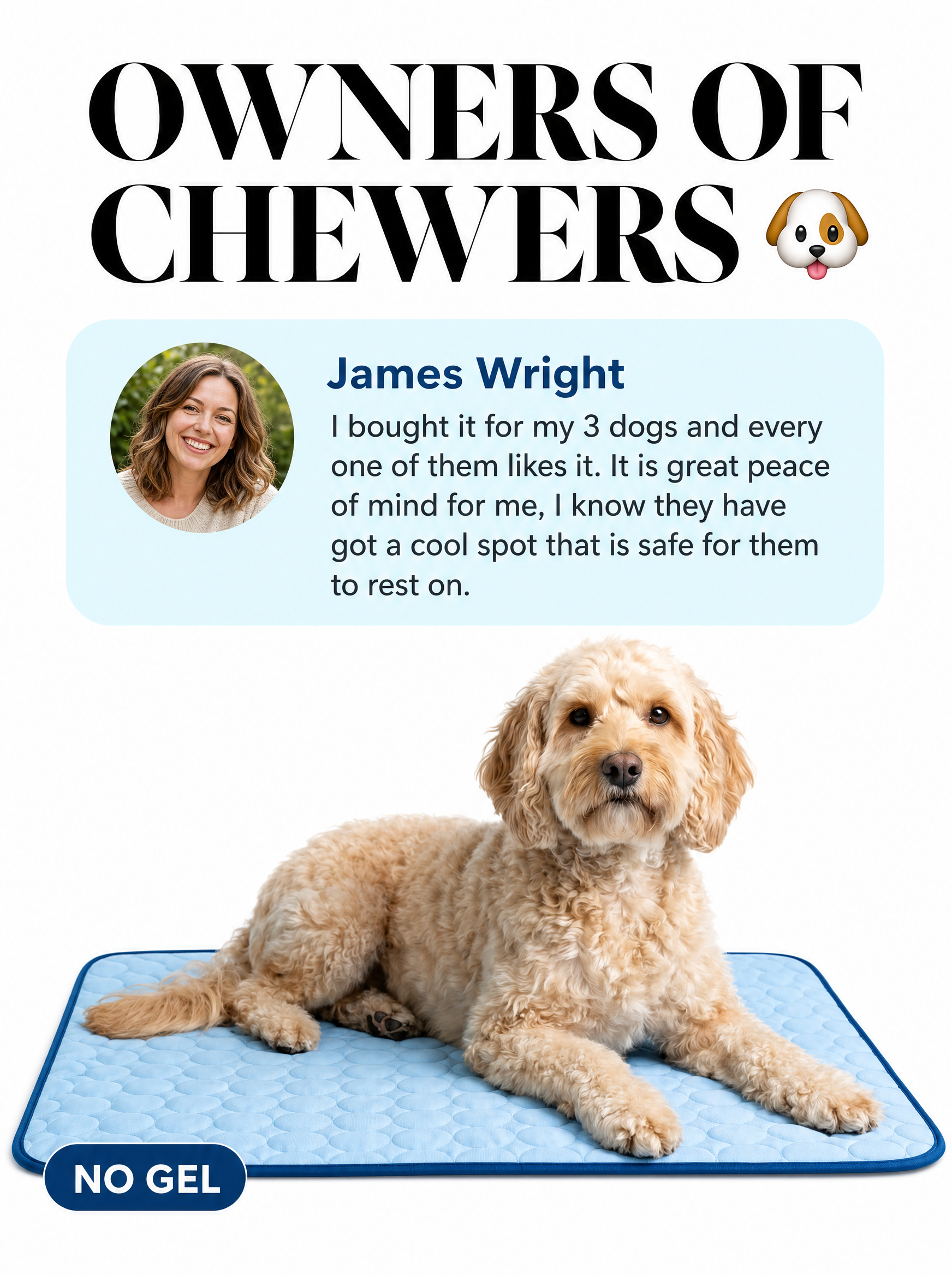 Rhykin Pet Co Facebook ad