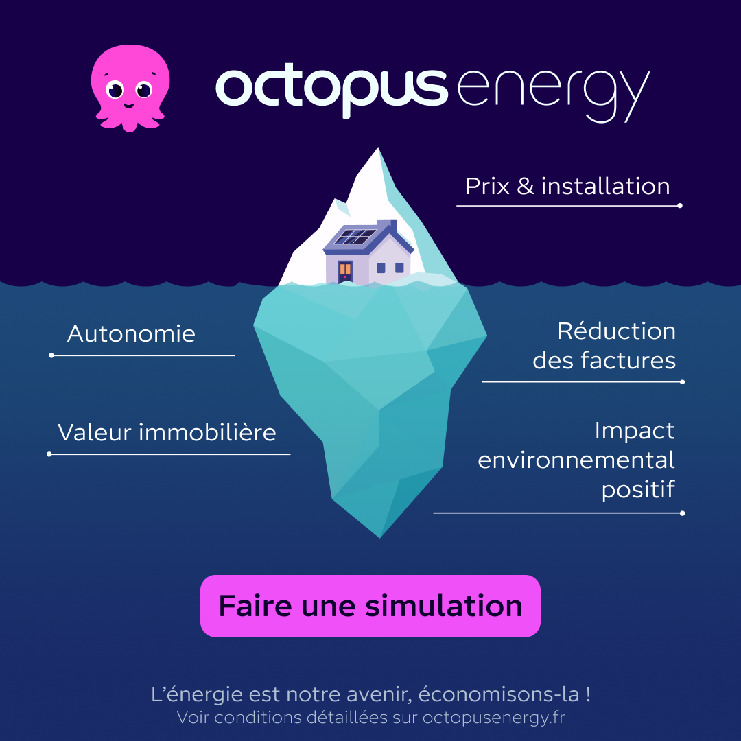 Octopus Energy Facebook ad