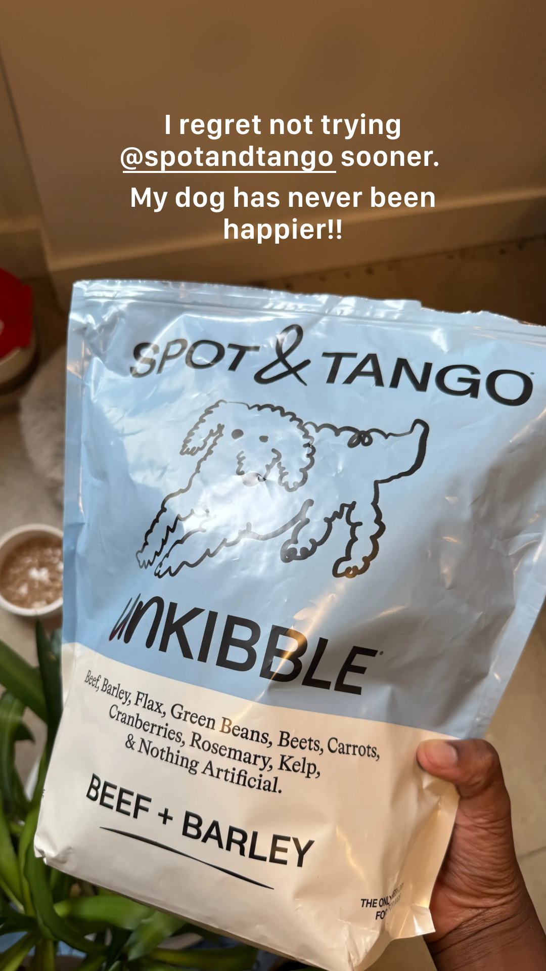 Spot and Tango Facebook ad
