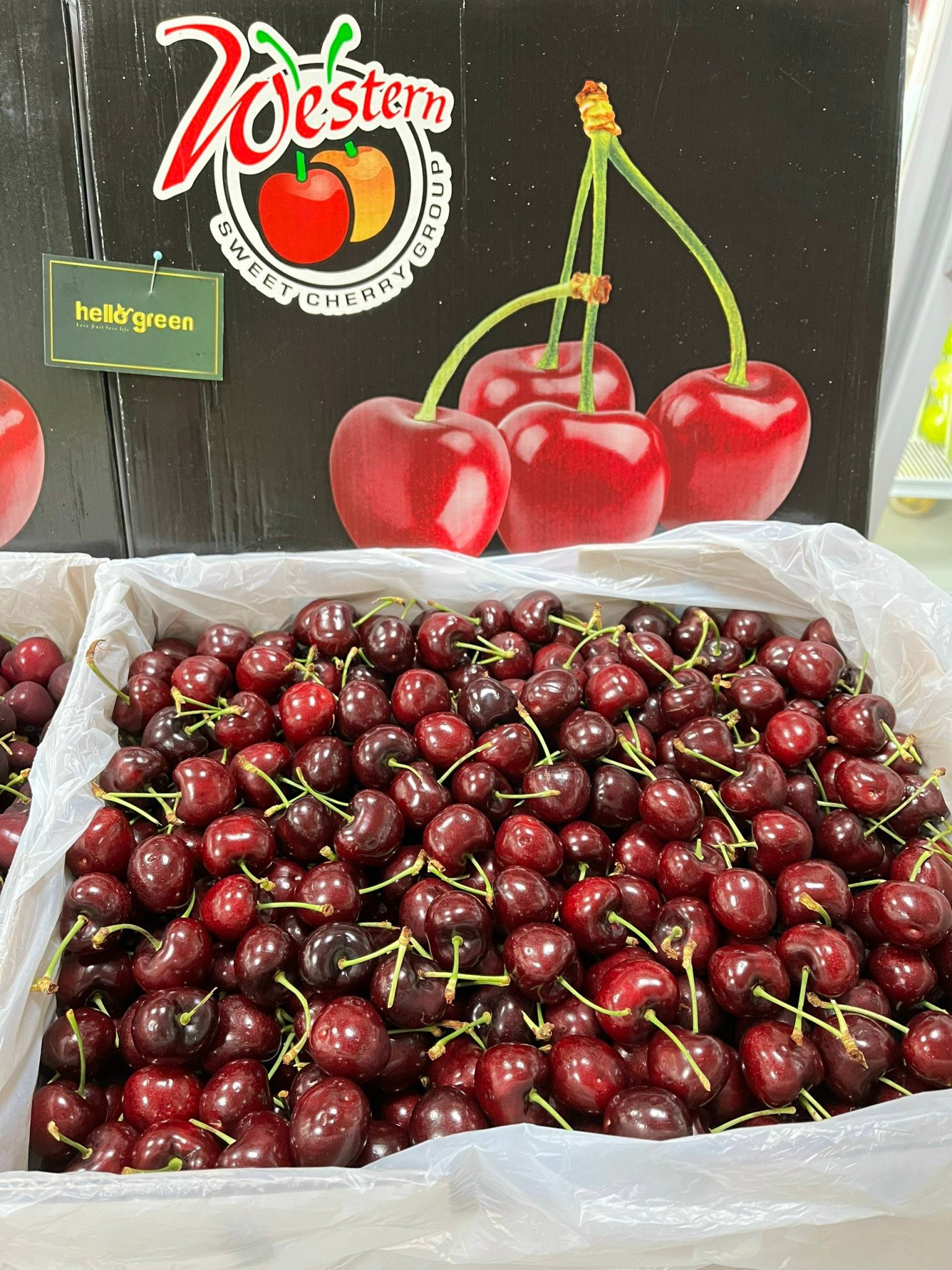 Trái Cây Nhập Khẩu HelloGreen Lê Chân - TP.Hải Phòng Facebook ad: 𝐒𝐈𝐄̂𝐔 𝐏𝐇𝐀̂̉𝐌 𝑪𝑯𝑬𝑹𝑹𝒀 𝐕𝐀̀𝐍𝐆 - 𝐂𝐇𝐄𝐑𝐑𝐘…