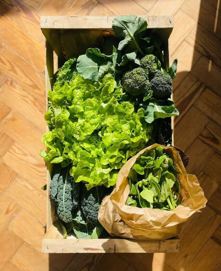 Quinta da Ribeira Facebook ad: Cabaz BIO entregue em sua casa!